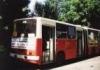 Na pocztku najpopularniejsze byy mae banery naklejane na autobus (659)
Fot. ze zbiorw Marcina Stiasnego
Kliknij, aby powikszy