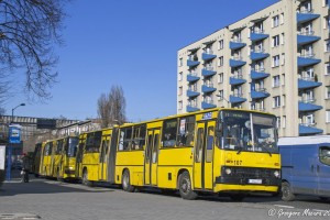 Katowice: Do końca roku Ikarusy znikną ze śląskich ulic Katowice: Do końca roku Ikarusy znikną ze śląskich ulic